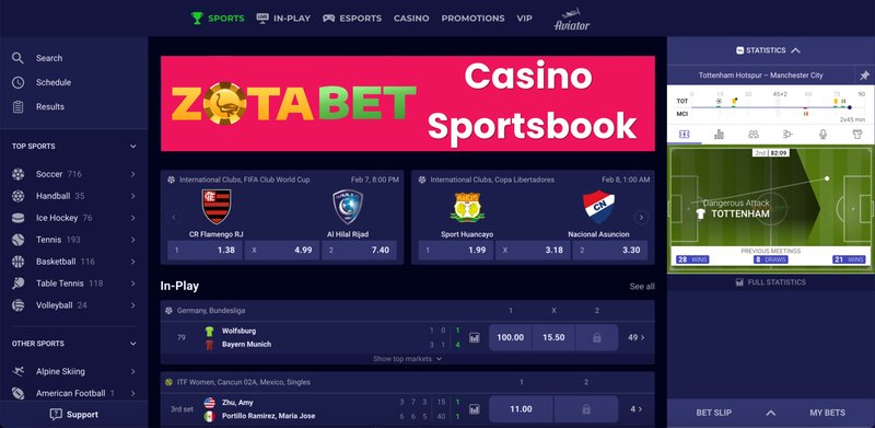Sicherheit und Spass beim Zota Bet Online Casino in Deutschland - overview